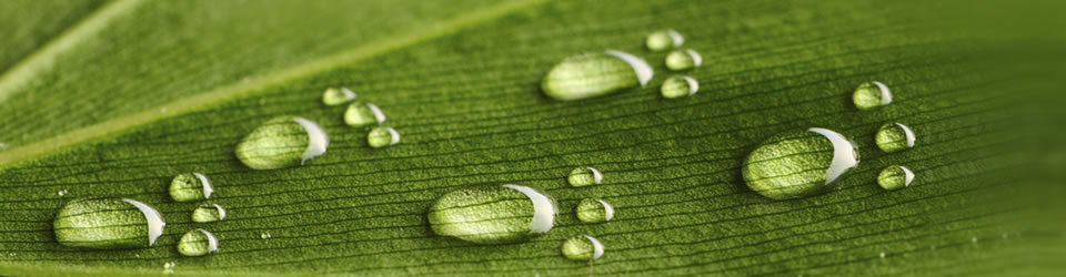 Prvi Banner