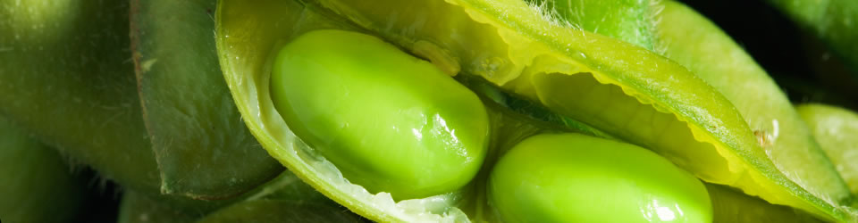 AGROSOL Prenosi
