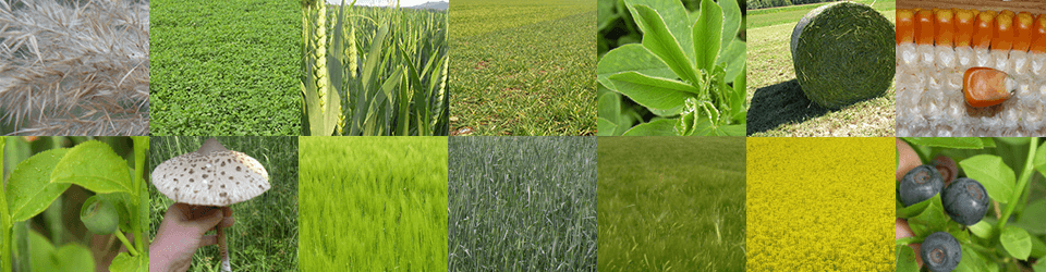 Banner AGROSOL FAQ